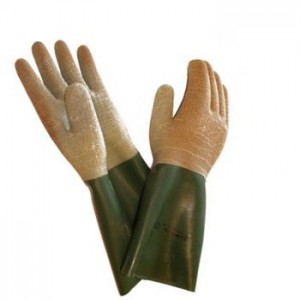 thumb-1